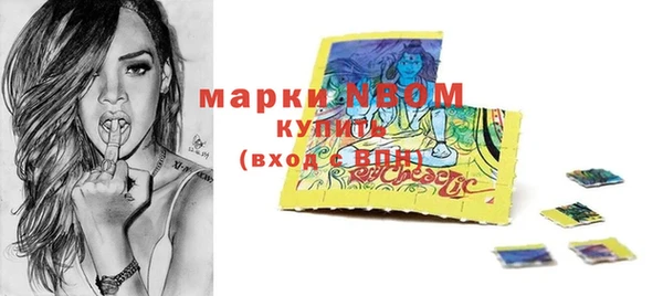 ГАЛЛЮЦИНОГЕННЫЕ ГРИБЫ Дмитриев