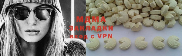 ГАЛЛЮЦИНОГЕННЫЕ ГРИБЫ Дмитриев