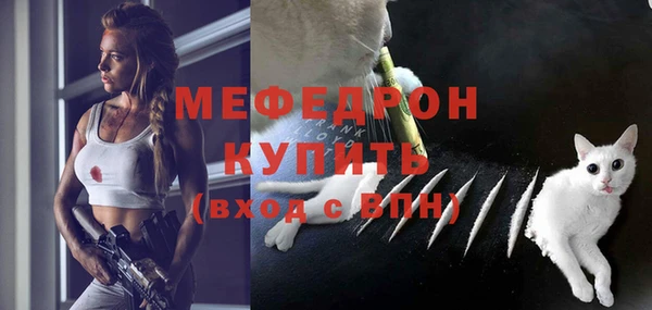 ГАЛЛЮЦИНОГЕННЫЕ ГРИБЫ Дмитриев