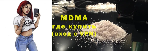 ГАЛЛЮЦИНОГЕННЫЕ ГРИБЫ Дмитриев