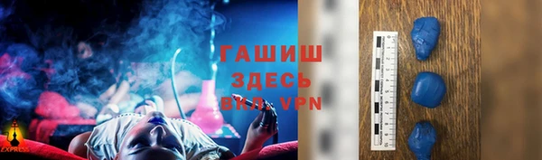 ГАЛЛЮЦИНОГЕННЫЕ ГРИБЫ Дмитриев