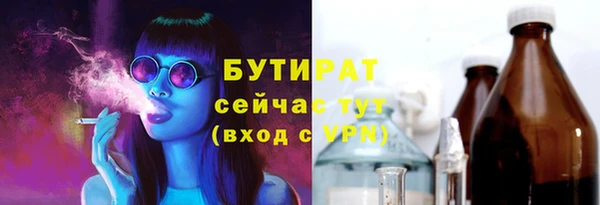 ГАЛЛЮЦИНОГЕННЫЕ ГРИБЫ Дмитриев