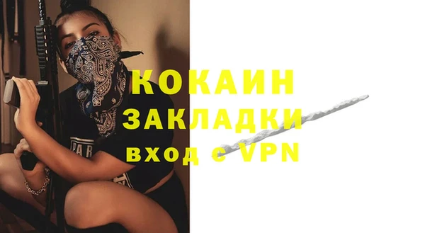 твердый Дмитров