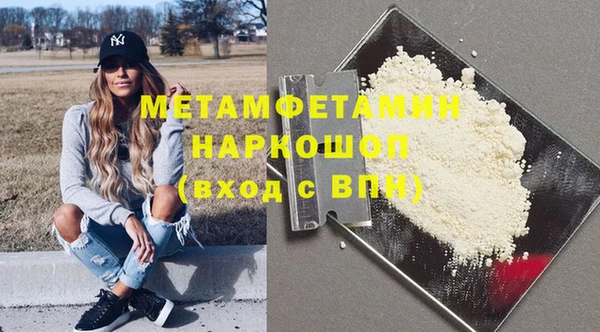 ГАЛЛЮЦИНОГЕННЫЕ ГРИБЫ Дмитриев