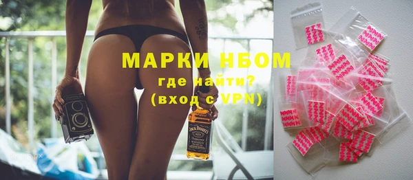ГАЛЛЮЦИНОГЕННЫЕ ГРИБЫ Дмитриев