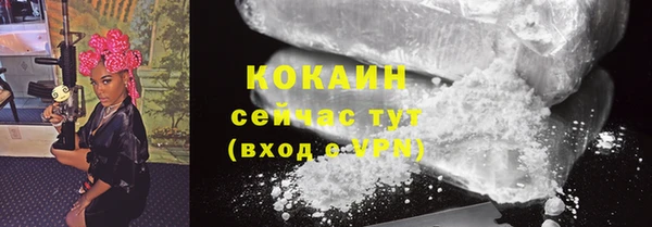 стаф Нефтегорск