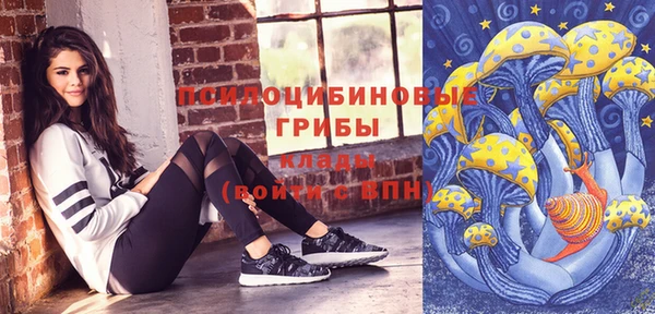 твердый Дмитров